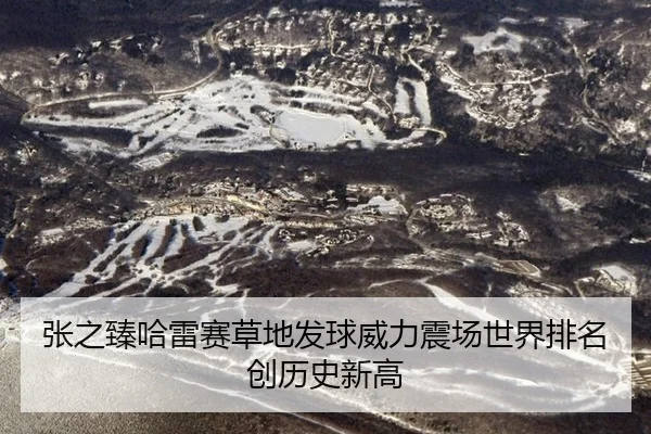 张之臻哈雷赛草地发球威力震场世界排名创历史新高