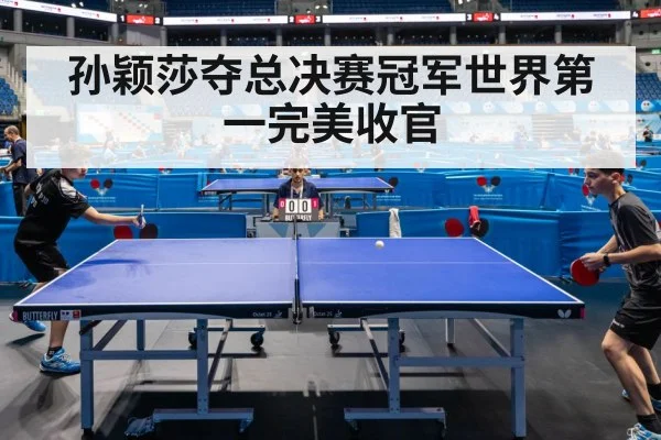 孙颖莎夺总决赛冠军世界第一完美收官